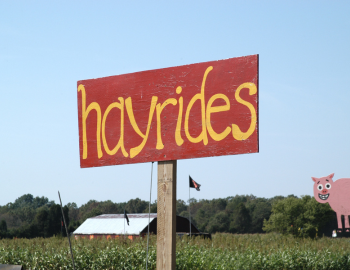Hayrides 