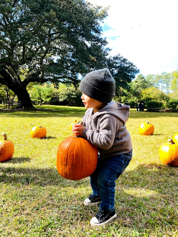 Pumpkin Patch Saturdays Island Farm