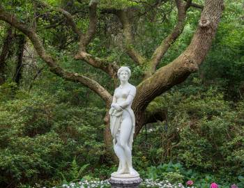 The Elizabethan Gardens