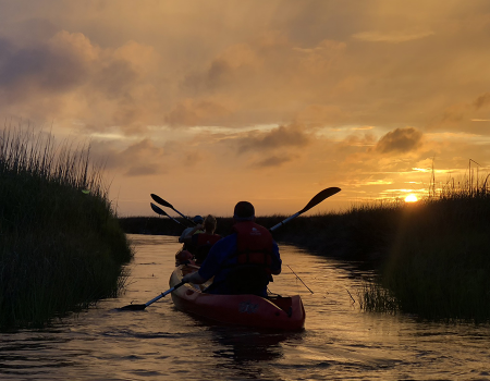 Kayak Tours Kayak Tours